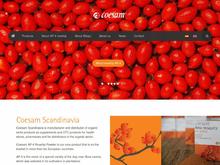 COESAM SCANDINAVIA ApS